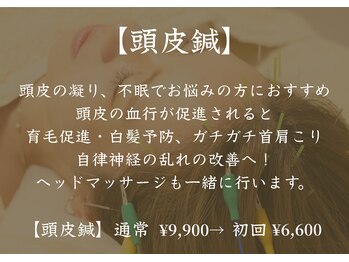 アモ(amo)/頭皮鍼