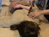 全身神経美骨整体60分16800円/首肩こり・巻肩・猫背・ストレートネック・腰痛
