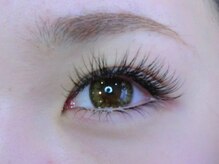 アヴニール(Avenir)/パリエク