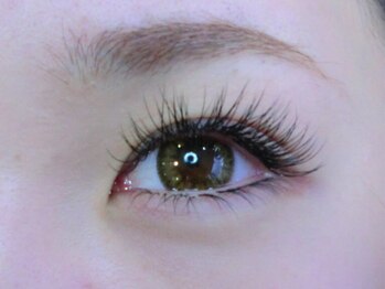 アヴニール(Avenir)/パリエク