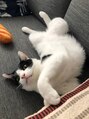 サロンロンウーマン(SALON RON woman) 我が家の癒し1。根はやさしいジャイアン気質の甘えん坊。