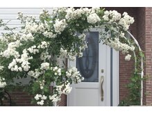 リュミエールボーテ/5月限定☆バラのフェイシャル