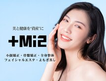 プラスミッツ(+Mi2)