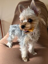 カイロプラクティック 難波中&nbsp;カイロ 難波中