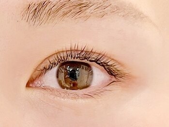 ラ ジェム 三国ヶ丘店(la gemme)の写真/【下がりまつ毛の方に！】まつげパーマ×エクステで目元の素早くお悩み解決【リフエク120本期間限定¥9000】
