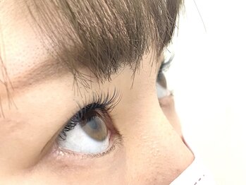 シャルム(Charme)/オールアッシュブルー　100本