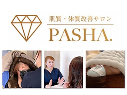 パシャ(Pasha)の写真