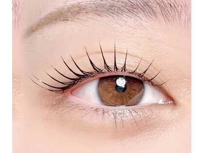 グローバルアイズ(Global Eyes)の写真