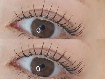 スウィートラッシュ 川口店(Sweet Lash)/ラッシュリフト