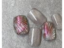 shell