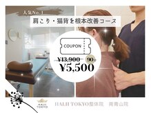 ハリートウキョウ 整体院 南青山院(HALII TOKYO)