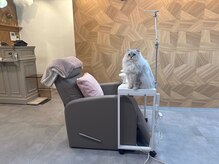 ルダリドゥー 東銀座店(Le Dali Deux)