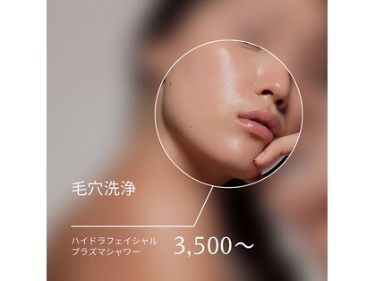 エリンダ(ELINDA)の写真