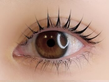 ミラ 新宿西口店(mila.)/まつげパーマ[まつ毛]