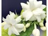 【ココロ癒し】　アロマトリートメント　　90分コース