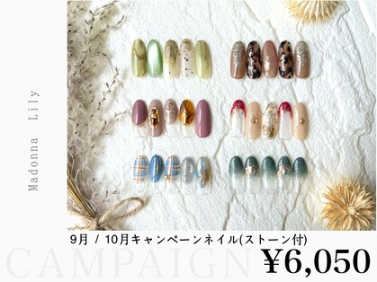 マドンナリリー(Madonna Lily)の写真