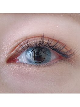 バニーアイズ 所沢(Bunny eyes TOKOROZAWA)/パリエク×フラット100本