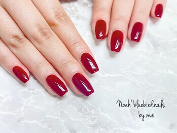 ノアブルーバードネイルズ(Noah' bluebird .nails)/ボルドーワンカラー
