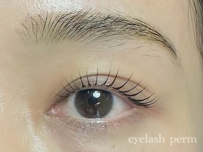 ティプシープラス(TIPSY＋)の写真