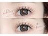 【LDカール限定】ダブルフラット80束(160本)パッチリ華やかに