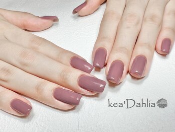 ケアダリア(kea’Dahlia)/ワンカラー【所沢/小手指】
