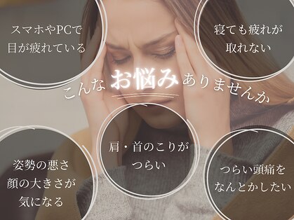 アルパカ(ALPAKA)の写真