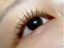 エスーガ(ESUGA)/