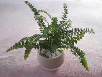 須賀川手もみ整体院の写真/激戦区での経験を積んできたオーナーの施術☆全身をゆっくりほぐして身体を楽に調整&日常の疲れから解放！