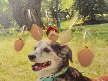 ザ ビューティサロン レン(The Beauty Salon Ren)/