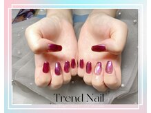トレンドネイルスタジオ(Trend Nail Studio)/マグネット + オーロラ