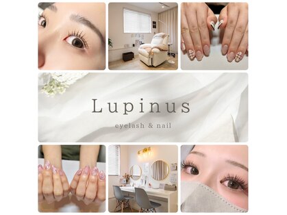 ルピナス(Lupinus)の写真