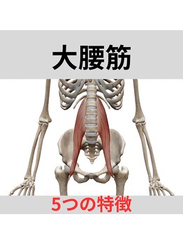 熊本カワル整体 JR上熊本駅院/大腰筋の役割