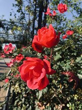 ウェルネス 横浜店&nbsp;小原 