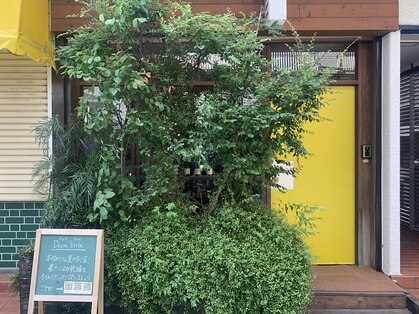 ドゥカ リトル(Duca duca little)の写真