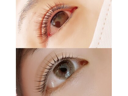 ニコリー(NICOLY)の写真