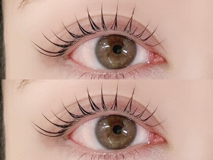 ミニュイ(Minuit)の写真