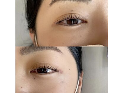 ユニ(uni)の写真