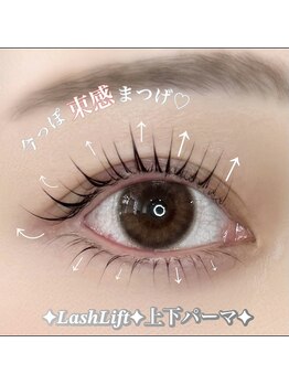 アトリエ ハーロウ(ATELIER HARLOW)/まつ毛パーマ上下/上下パーマ