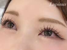 ルピナス 川口(Lupinus)