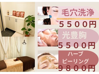 ミーティア(Meteor)の写真