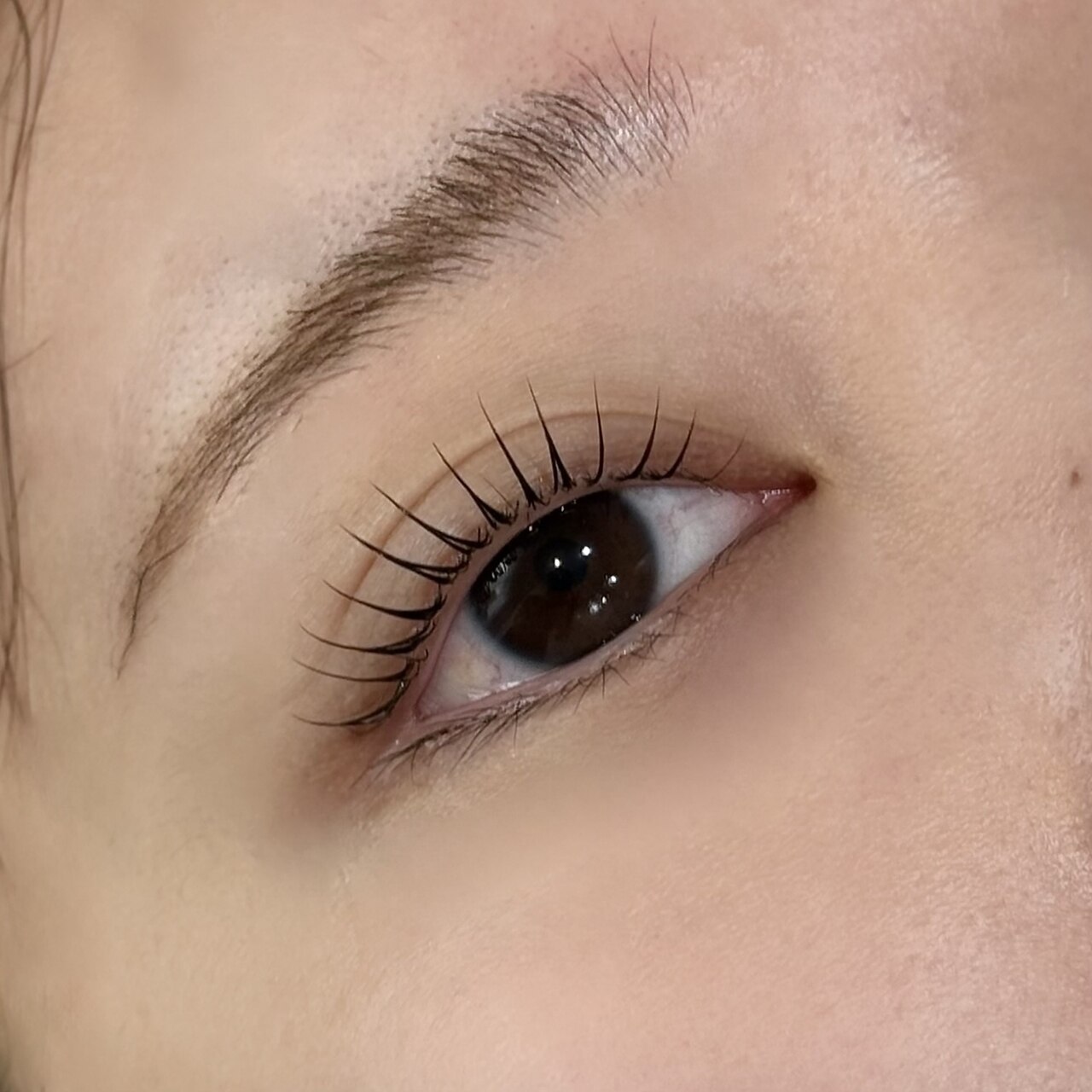 【高濃度トリートメント付き】まつげパーマ◆ラッシュリフト￥4400