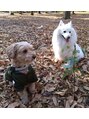 ニヒロ 浅草店(nihilo)&nbsp;・愛犬二匹と散歩に行くのが好きです。