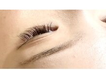 キャンプス(Camps)/フラットラッシュ