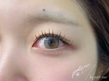 エム バイ プティパ(M by petit pas)/フラットラッシュ120本