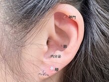 アクアプラス(aqua+)/耳つぼジェリー
