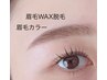 【美眉スタイリングセット】眉毛WAX脱毛+眉毛カラー