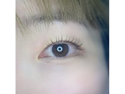 リノア(Linore)の写真