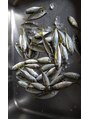 マハロ整骨院 伊勢(MAHALO整骨院)&nbsp;魚は食べれませんが魚釣りは好きです。