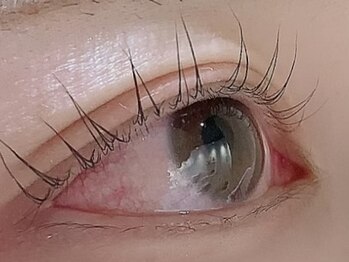 カラン 焼津店(CALIN)/ラスティングカール