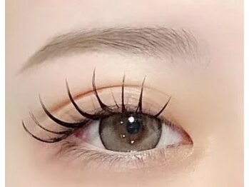 カランコエ(Kalanchoe)/まつ毛エクステ